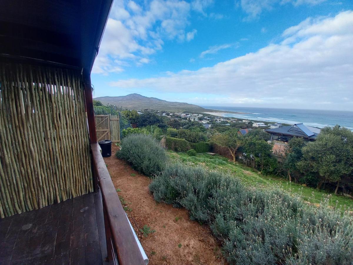 Apartment Mussel Beach Holiday Lets
